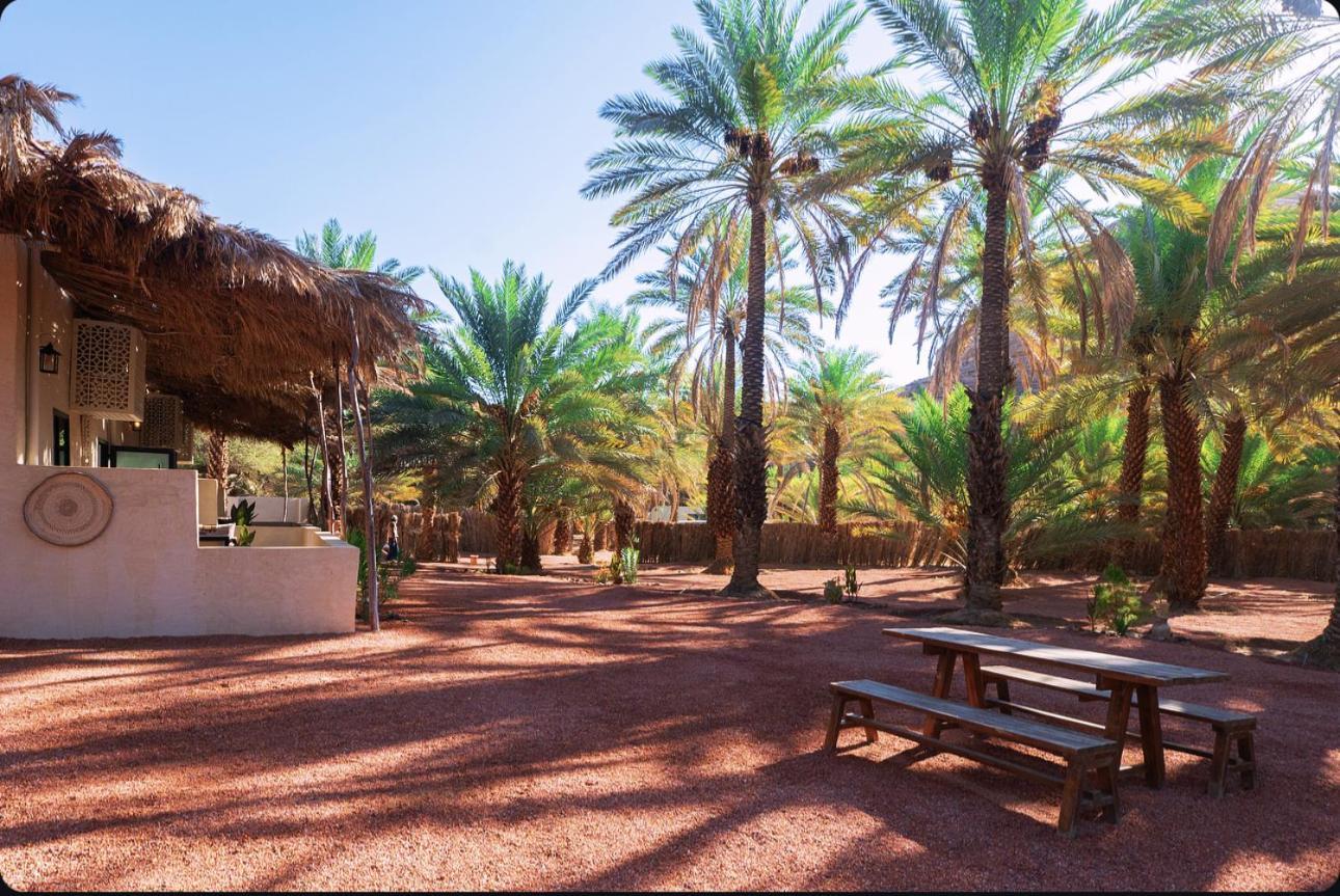 ホテル Under Las Palms Alula Madain Saleh エクステリア 写真